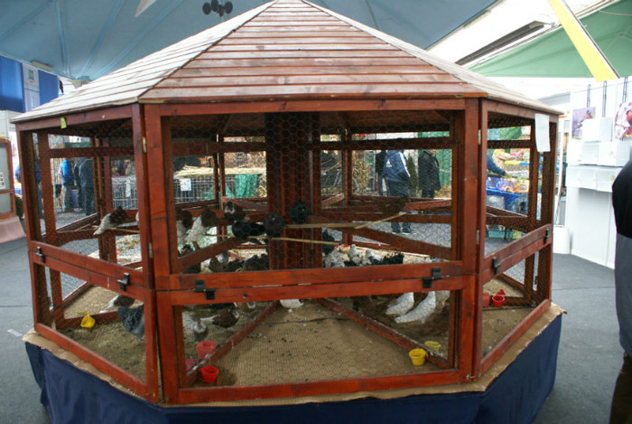 DSC00178
