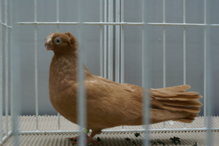 DSC00187