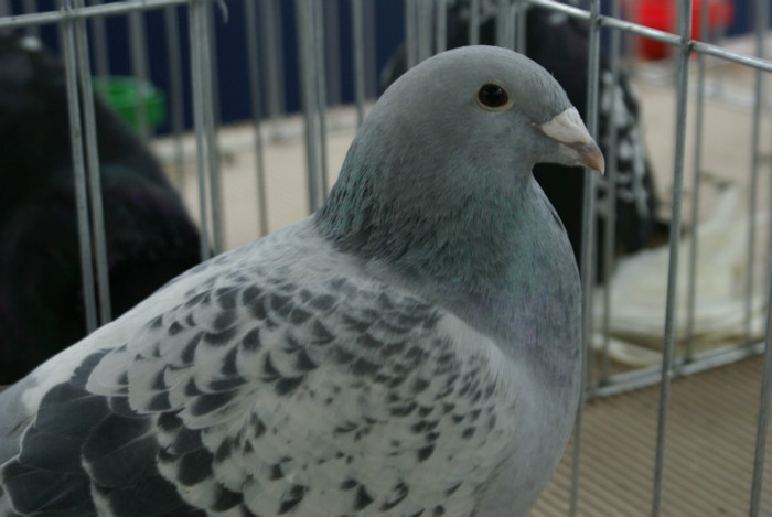 DSC00201