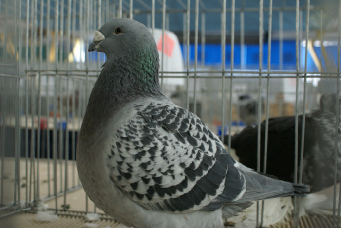 DSC00204