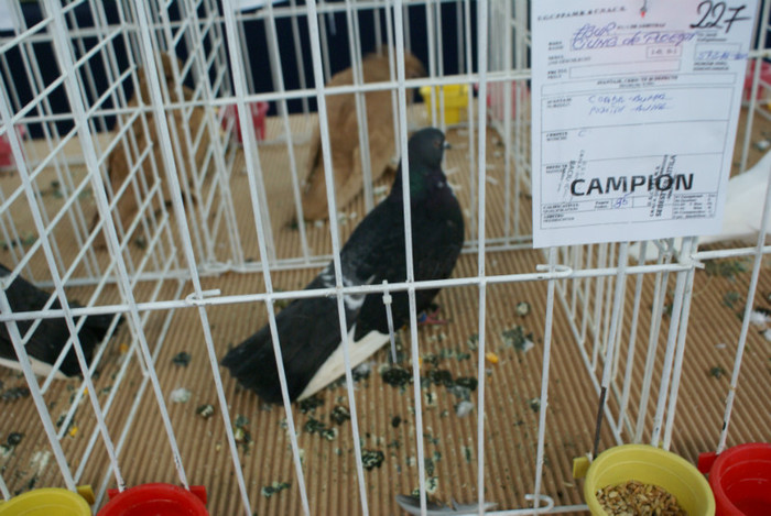 DSC00253