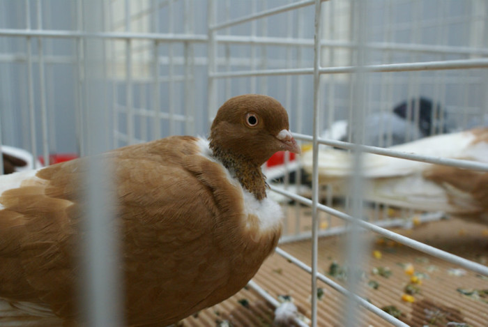 DSC00259