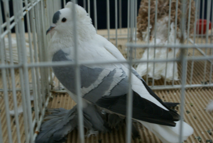 DSC00276