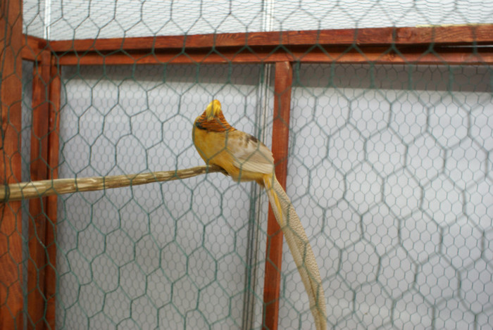 DSC00304