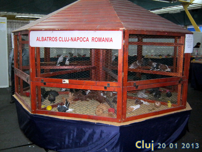 Expo Cluj 2013 - 1 TARGURI si EXPOZITII