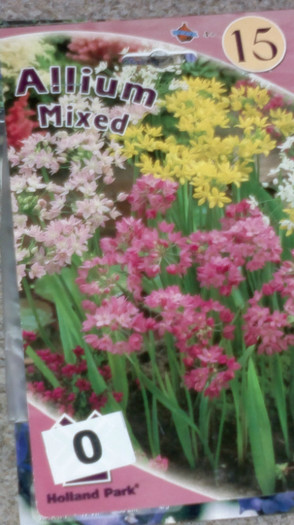 achizitii2012 toamna15