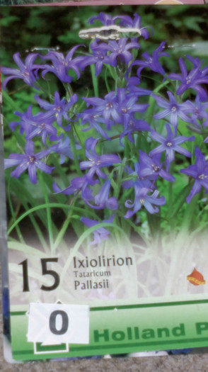 achizitii2012 toamna16