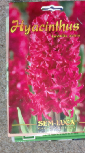 achizitii2012 toamna18