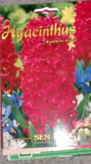 achizitii2012 toamna19