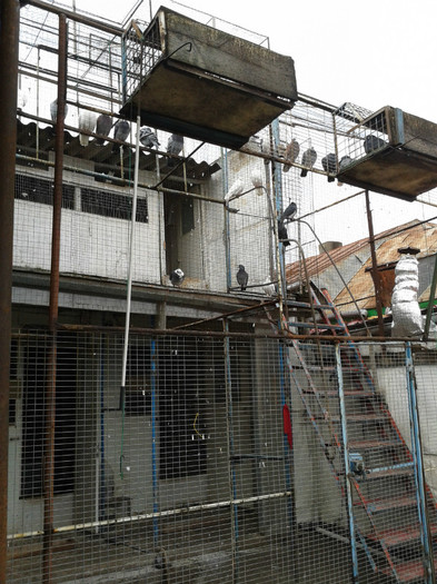 vadere ansamblu -ian.2013