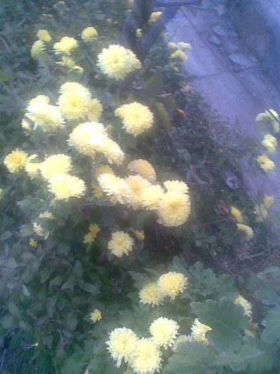 Tufanici