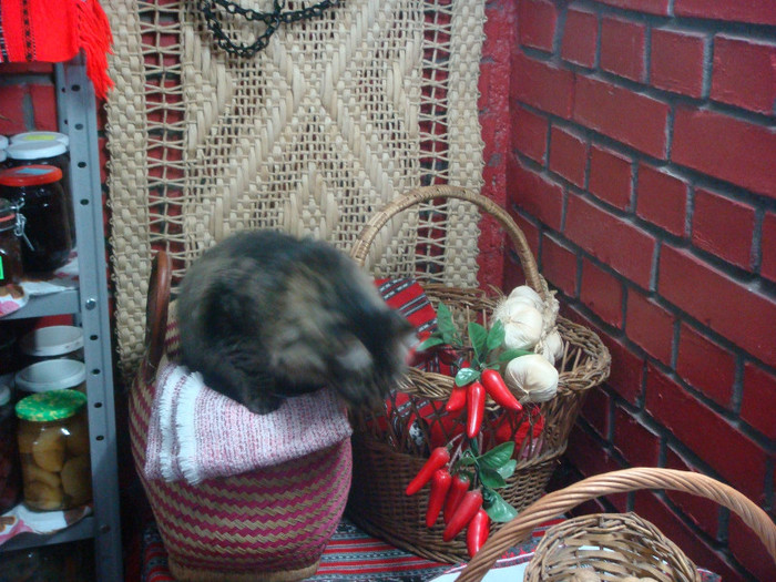 la inspectie in beci