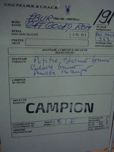 DSC08895 - EXPOZITIE NATIONALA 2013 CLUJ NAPOCA PORUMBEI