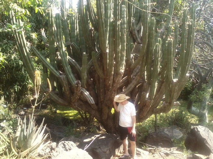 eu in Acatlan de Juarez la   fosta  prietena in Mexic 2012 - cactusii mei