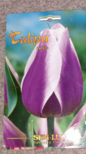 achizitii2012 toamna20