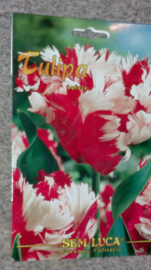 achizitii2012 toamna23