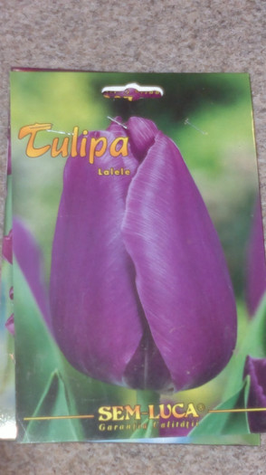 achizitii2012 toamna25 - g-achizitii toamna 2012