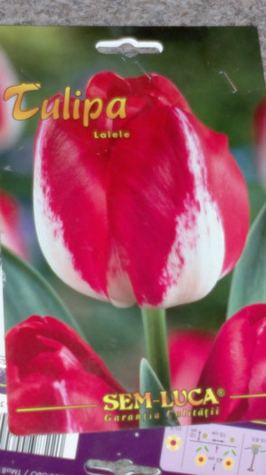 achizitii2012 toamna27 - g-achizitii toamna 2012