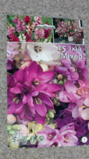 achizitii2012 toamna29 - g-achizitii toamna 2012