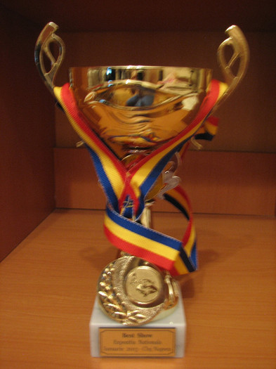 8 - REZULTATE DIPLOME CAMPIONI CLUJ-NAPOCA 18-20 IAN 2013