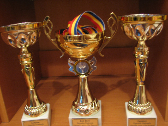 12 - REZULTATE DIPLOME CAMPIONI CLUJ-NAPOCA 18-20 IAN 2013