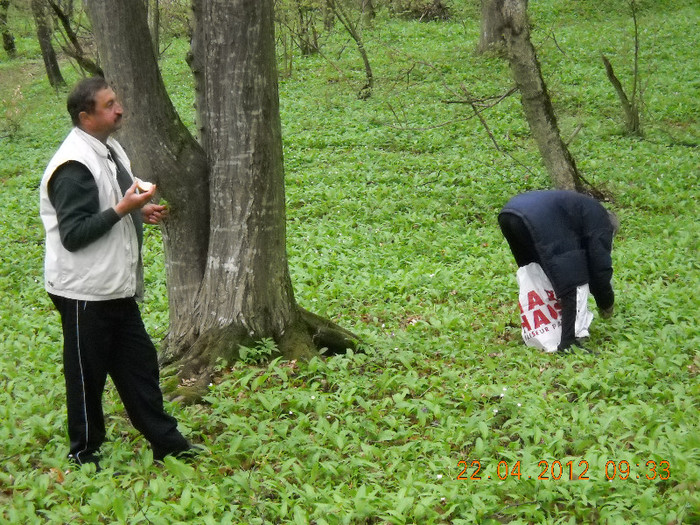 DSCN0053 - LEURDA VIATA MEA