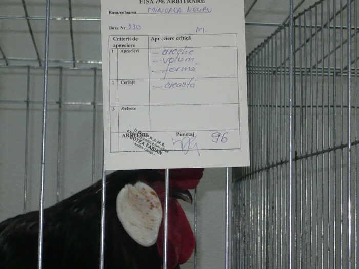 P1020587 - expozitia nationala cluj 2013