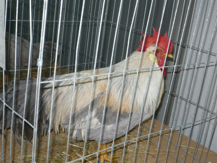 P1020592