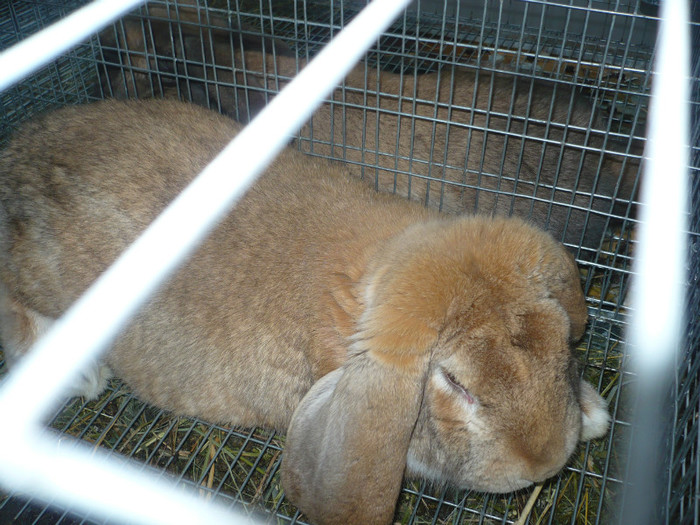 P1020630