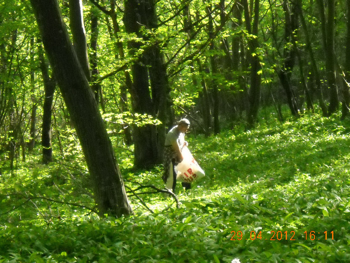 DSCN0095 - LEURDA VIATA MEA