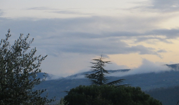 IMG_0029 - IANUARIE-TODI