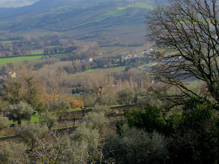 IMG_0094 - IANUARIE-TODI