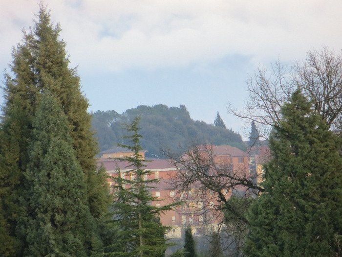 IMG_0099 - IANUARIE-TODI