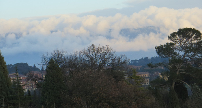 IMG_0104 - IANUARIE-TODI