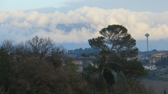 IMG_0105 - IANUARIE-TODI