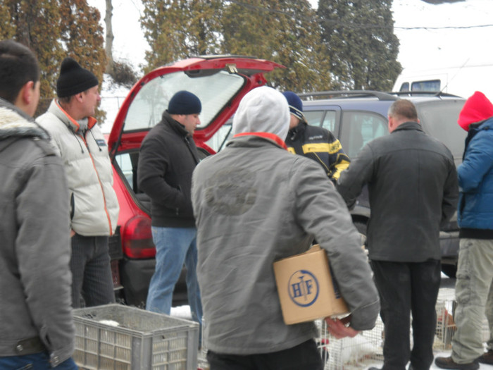 DSCN0544 - EXPO IANUARIE 2013 CLUJ-NAPOCA