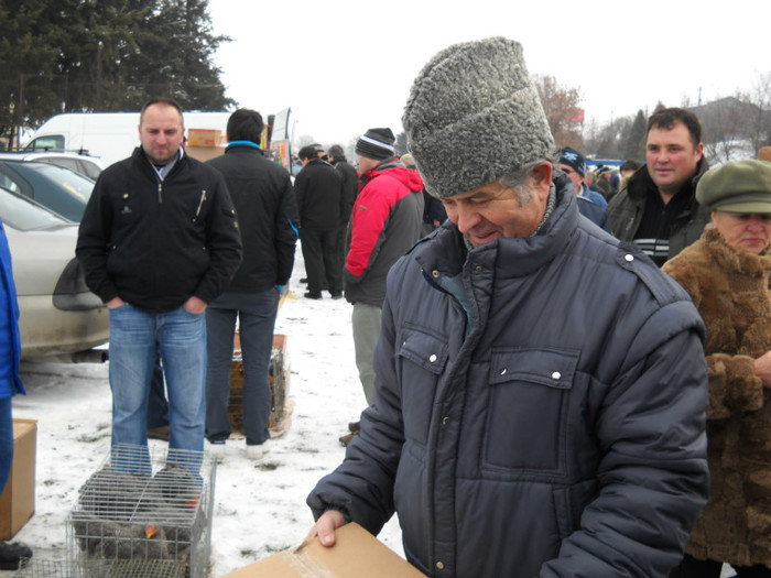 DSCN0546 - EXPO IANUARIE 2013 CLUJ-NAPOCA