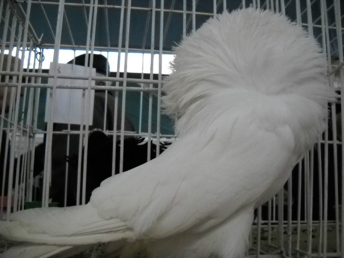 DSCN0654