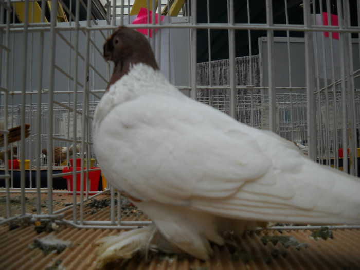 DSCN0676