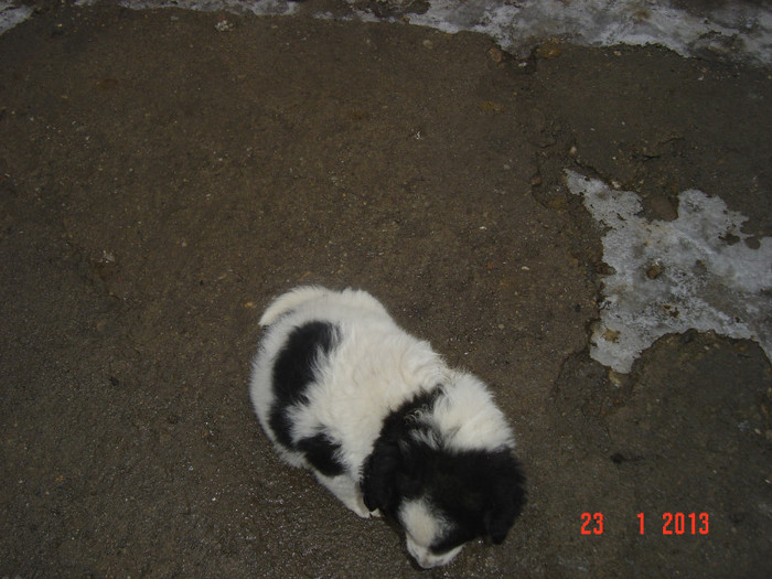 Picture 951