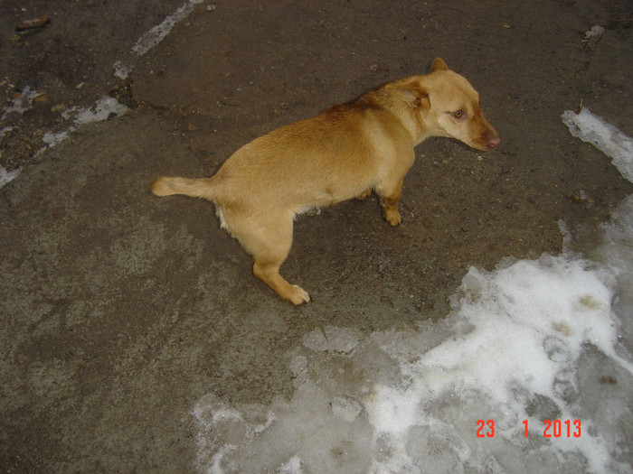 Picture 952