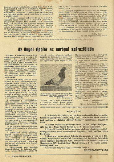angol tippler újságcikk 1960_ung. Zeitungsartikel 1960