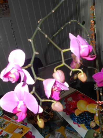 DSCN2572