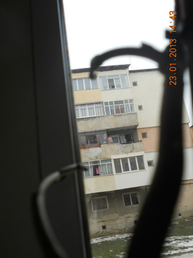 DSCN2579