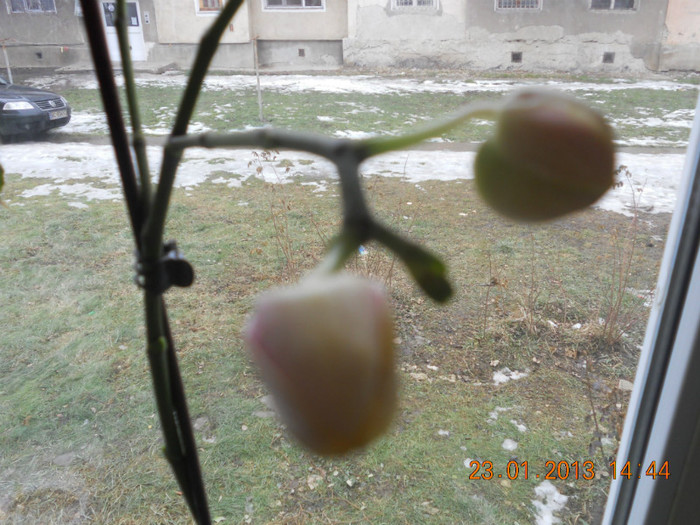 DSCN2581