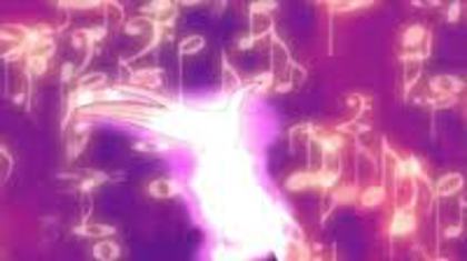 images (9)