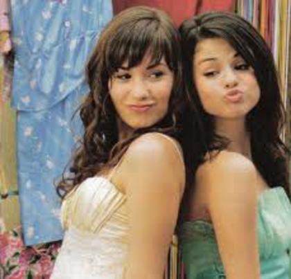 SEL&DEMI