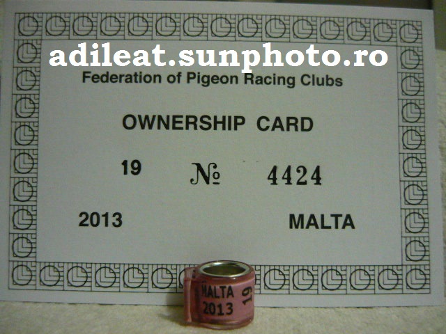 MALTA-2013 - MALTA-ring collection