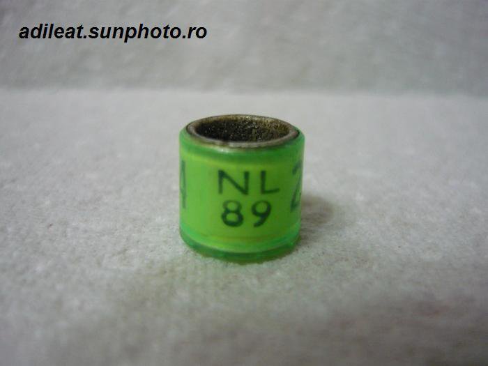 NL-1989 - OLANDA-NL-ring collection