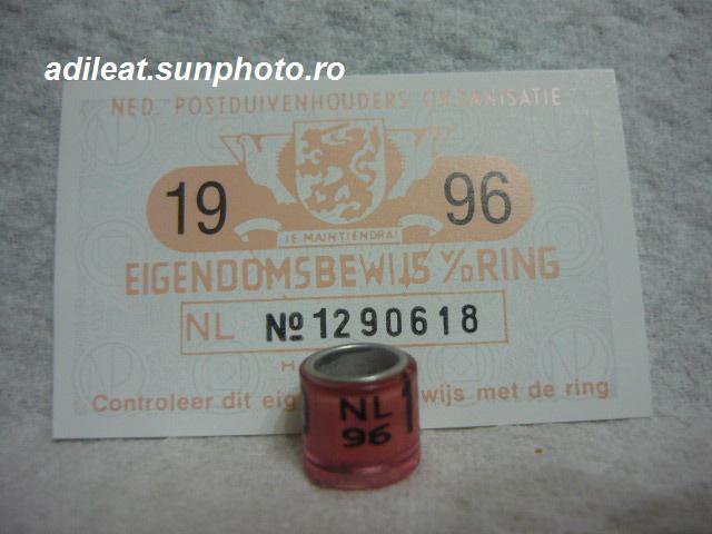 NL-1996 - OLANDA-NL-ring collection